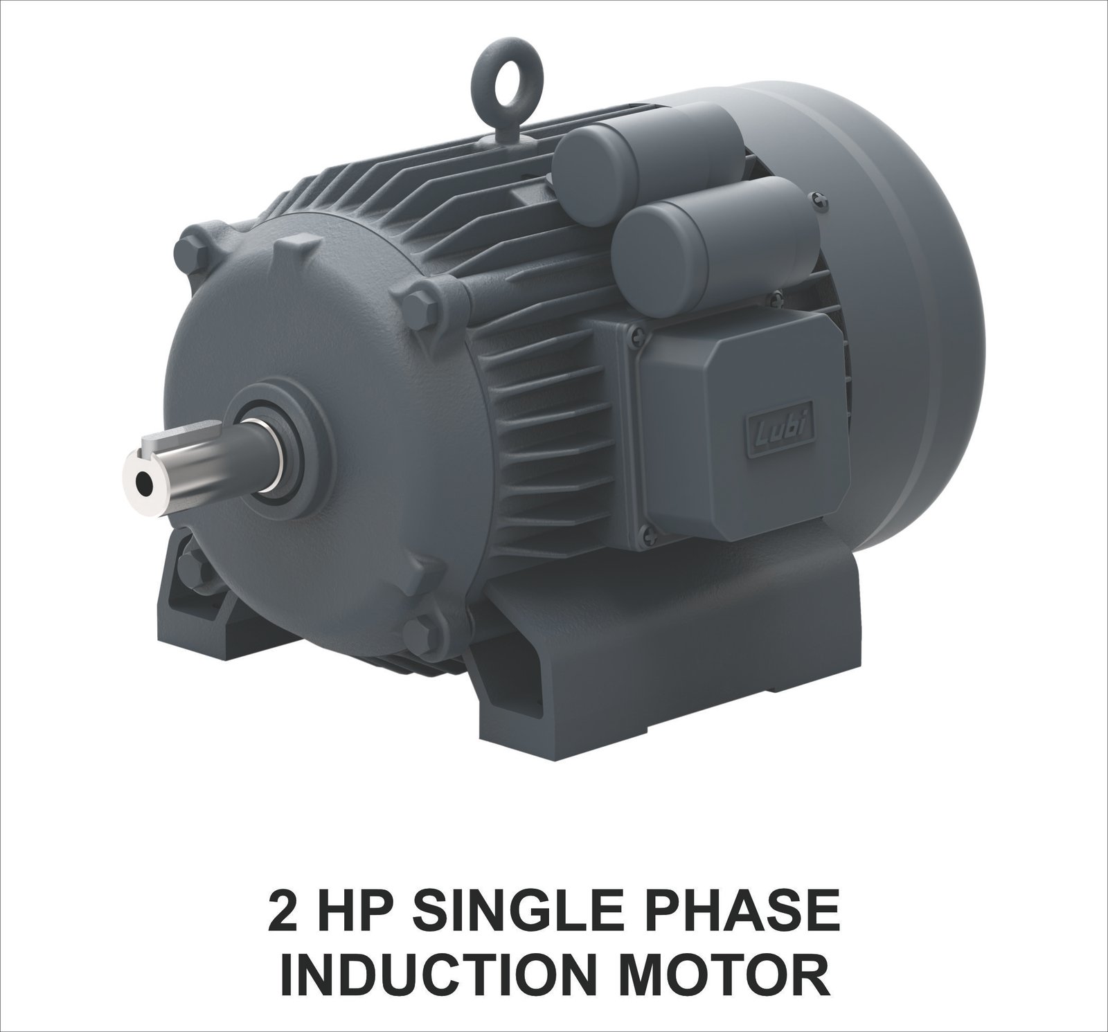 2 HP Single Phase Induction Motor